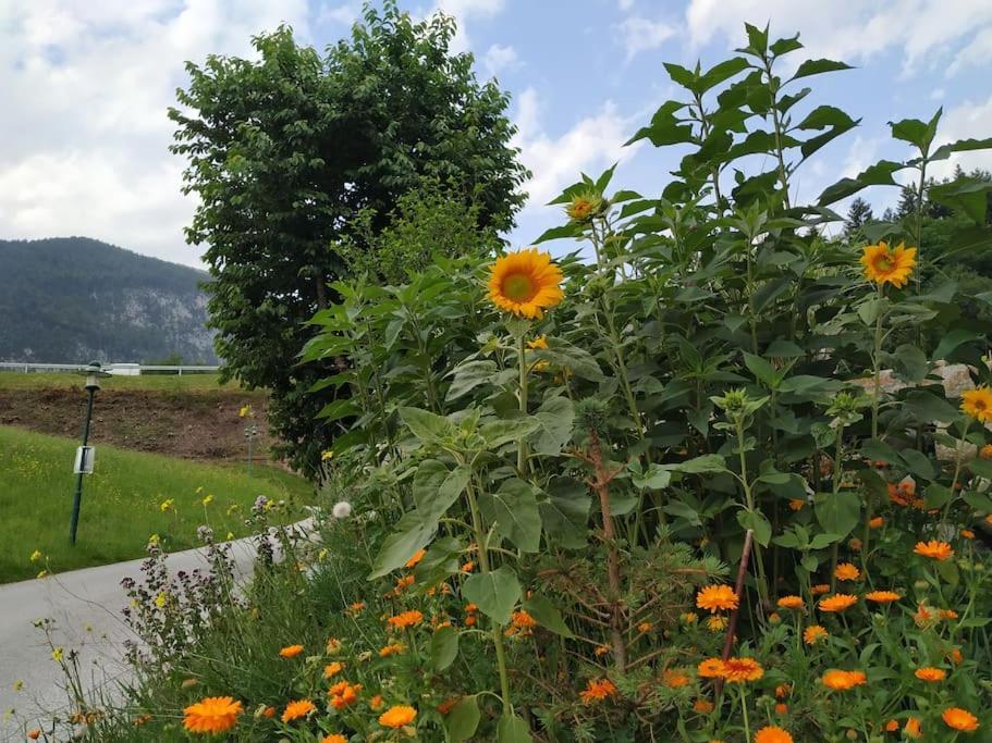 Upcycling Appartement Fischl - Nachhaltig Und Kreativ Wohnen Fuer Gross Und Klein Jenbach Dış mekan fotoğraf